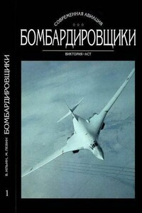 Бомбардировщики. Том I - Владимир Евгеньевич Ильин