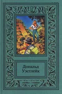 Приключение - что надо! - Дональд Уэстлейк