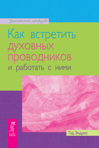 Как встретить духовных проводников и работать с ними - Тэд Эндрюс