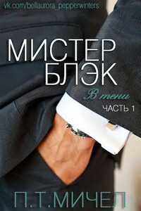 Мистер Блэк - П. Т Мичел