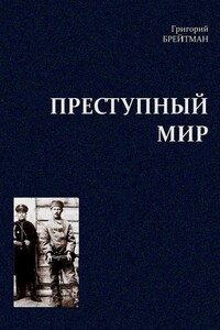 Преступный мир: Очерки из быта профессиональных преступников - Григорий Наумович Брейтман