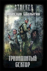 Тринадцатый сектор - Вячеслав Владимирович Шалыгин