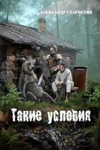 Такие условия - Александр Иванович Старостин