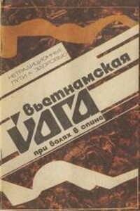 Вьетнамская йога при болях в спине - Борис Федорович Воронин