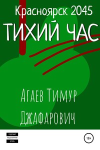 Красноярск 2045: Тихий час - Тимур Джафарович Агаев