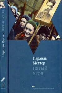 Пятый угол - Израиль Моисеевич Меттер