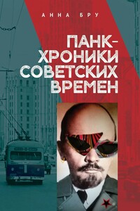 Панк-хроники советских времен - Анна Бру