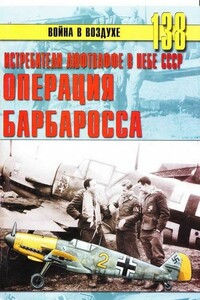 Истребители Люфтваффе в небе СССР. Операция «Барбаросса» июнь – декабрь 1941 г. - Альманах «Война в воздухе»