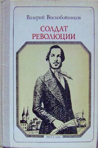 Солдат революции - Валерий Михайлович Воскобойников