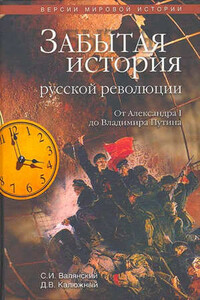 Забытая история русской революции. От Александра I до Владимира Путина - Дмитрий Витальевич Калюжный