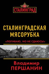 Сталинградская мясорубка. «Погибаю, но не сдаюсь!» - Владимир Николаевич Першанин