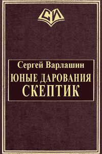 Скептик - Сергей Александрович Варлашин