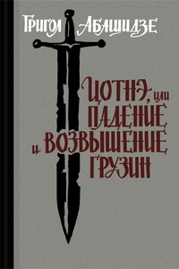 Цотнэ, или падение и возвышение грузин - Григол Абашидзе