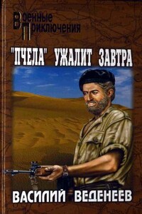 Ключ святого Петра - Василий Владимирович Веденеев