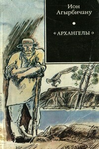 Архангелы - Ион Агырбичану