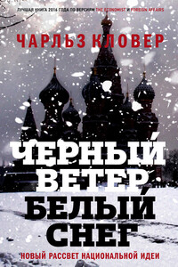 Черный ветер, белый снег. Новый рассвет национальной идеи - Чарльз Кловер