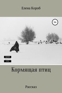 Кормящая птиц. Рассказ - Елена Короб