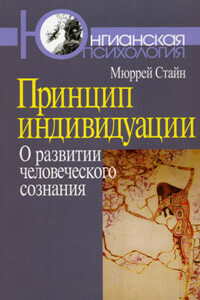 Принцип индивидуации. О развитии человеческого сознания - Мюррей Стайн