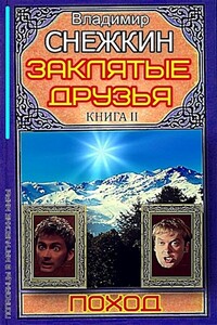 Заклятые друзья. Книга 2. Поход - Владимир Евгеньевич Снежкин