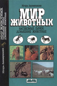 Насекомые. Пауки. Домашние животные - Игорь Иванович Акимушкин