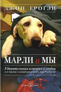 Марли и мы - Джон Грогэн