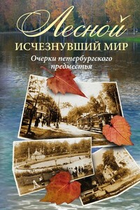 Лесной: исчезнувший мир. Очерки петербургского предместья - Коллектив Авторов