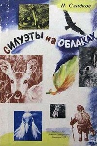 Силуэты на облаках - Николай Иванович Сладков