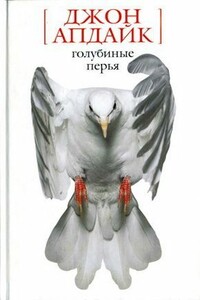 Снегопад в Гринвич-Виллидж - Джон Апдайк