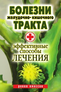 Болезни желудочно-кишечного тракта. Эффективные способы лечения - Юлия Владимировна Бебнева