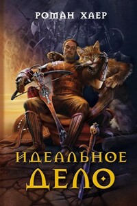 Идеальное дело - Роман Хаер