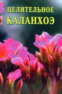 Целительное каланхоэ - Иван Ильич Дубровин