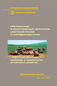 Приграничные и трансграничные территории Азиатской России и сопредельных стран. Проблемы и предпосылки устойчивого развития - Коллектив Авторов