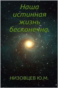 Наша истинная жизнь бесконечна - Юрий Михайлович Низовцев