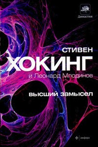 Высший замысел - Стивен Хокинг