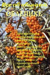 Все об обычной облепихе - Иван Ильич Дубровин