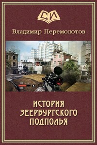 История Зеербургского подполья - Владимир Перемолотов