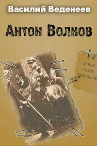 Антон Волков. Книги 1-4 - Василий Владимирович Веденеев