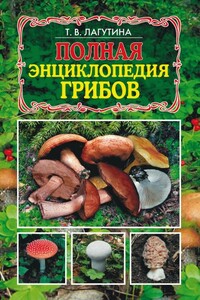 Полная энциклопедия грибов - Татьяна Владимировна Лагутина