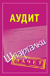 Аудит - Николай Александрович Самсонов