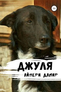 Джуля - Айпери Дамир