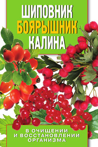 Шиповник, боярышник, калина в очищении и восстановлении организма - Алла Валерьяновна Нестерова