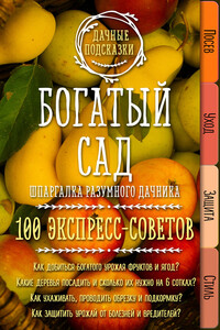 Богатый сад. Шпаргалка разумного дачника. 100 экспресс-советов - Мария Владимировна Колпакова