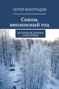 Сквозь високосный год - Сергей Петрович Виноградов