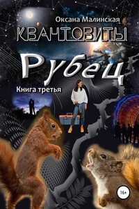 Квантовиты. Книга 3. Рубец - Оксана Тарасовна Малинская