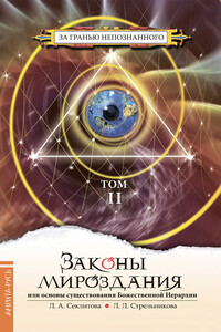 Законы мироздания, или Основы существования Божественной Иерархии. Том II - Лариса Александровна Секлитова