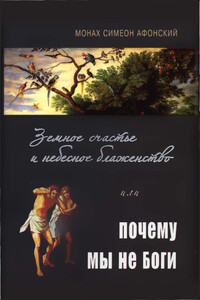 Земное счастье и небесное блаженство или почему мы не Боги - Монах Симеон Афонский