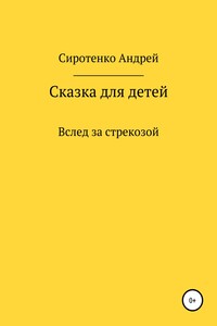 Вслед за стрекозой - Андрей Сиротенко