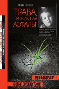 Трава, пробившая асфальт - Тамара Александровна Черемнова