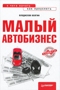 Малый автобизнес: с чего начать, как преуспеть - Владислав Васильевич Волгин