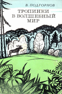 Тропинки в волшебный мир - Василий Михайлович Подгорнов